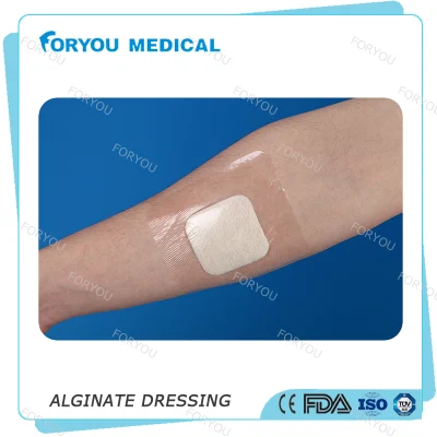 Huizhou Foryou Medical 2g Tampone in alginato Medicazione per ferite Medicazione in gel di alginato Calcio